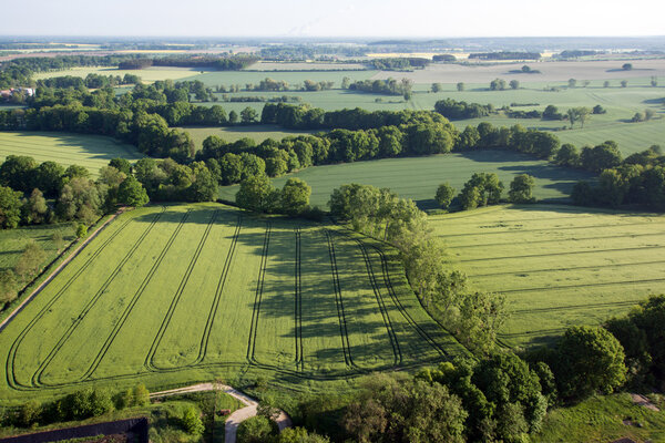 Культивированное поле сверху. Вид с воздуха на луга и посевные поля. Вид на птиц
