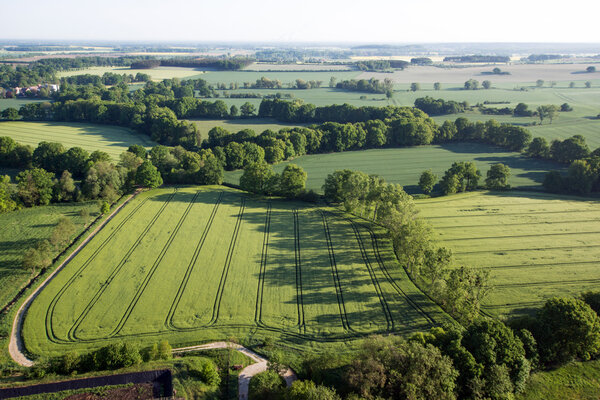 Культивированное поле сверху. Вид с воздуха на луга и посевные поля. Вид на птиц

