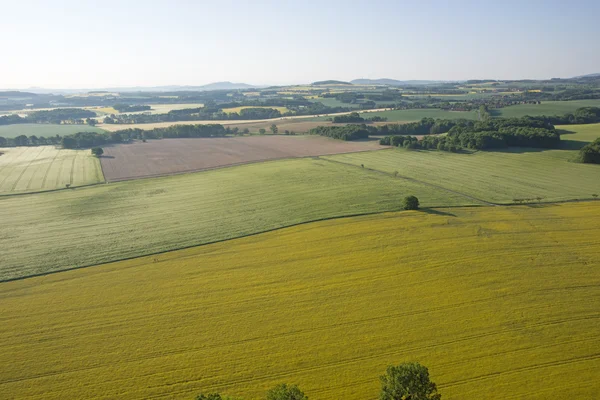 Cultivated field from above. Aerial view of meadows and cultivated fields. Birds view