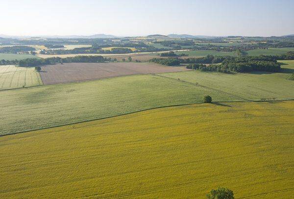 Культивированное поле сверху. Вид с воздуха на луга и посевные поля. Вид на птиц
