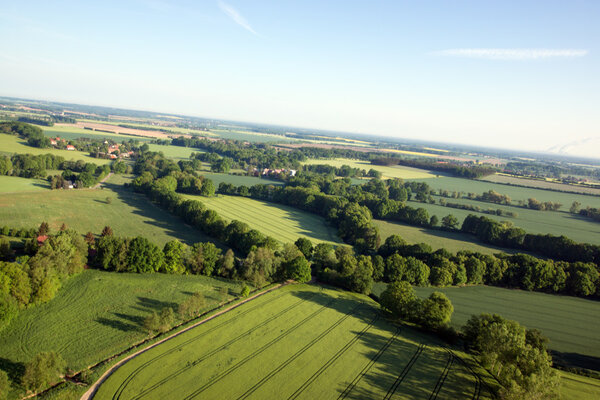 Cultivated field from above. Aerial view of meadows and cultivated fields. Birds view