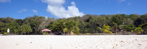 Playa caribeña de arena blanca desierta —  Fotos de Stock