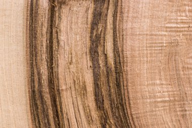 Tedavi edilmemiş ağaç yapısı