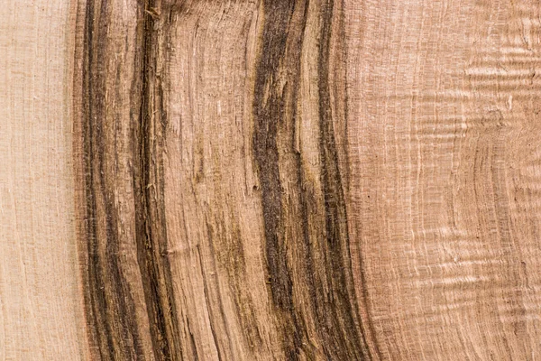 Tedavi edilmemiş ağaç yapısı