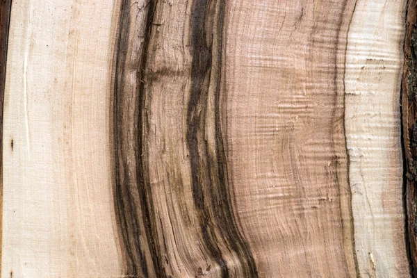 Nieleczona struktura drewna — Zdjęcie stockowe