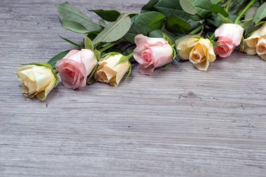 Pembe ve sarı güller