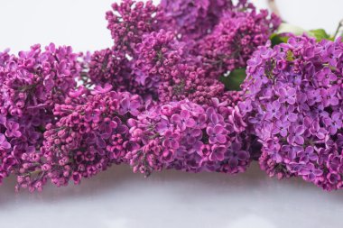 Cam masa üzerinde mor Lila