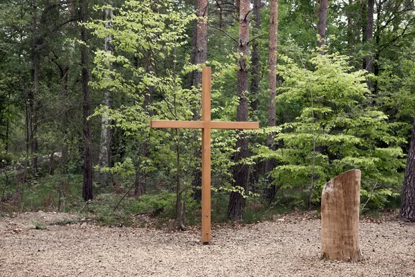 Ξύλινος σταυρός στο δάσος — Φωτογραφία Αρχείου