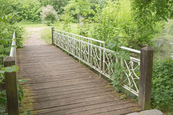 公園で水を渡る橋 — ストック写真