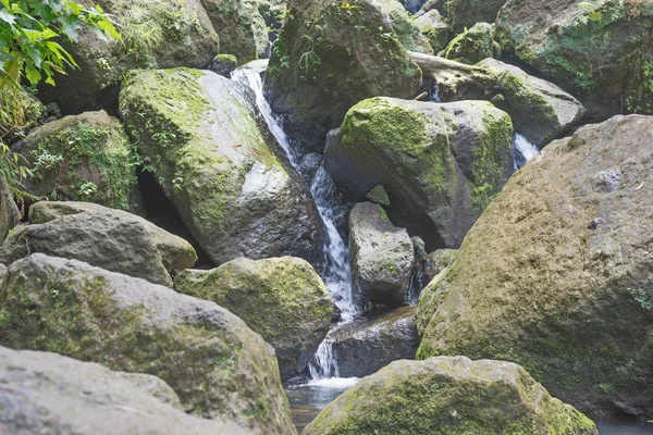 Dağ dere yosunlu stonee arasında — Stok fotoğraf