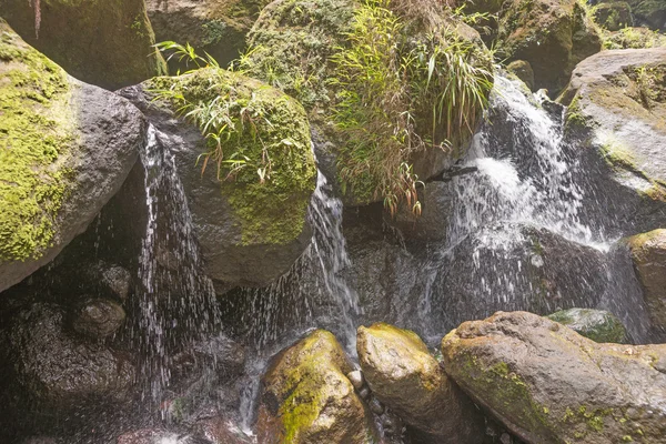 Corriente de montaña entre el musgoso pedregal — Foto de Stock