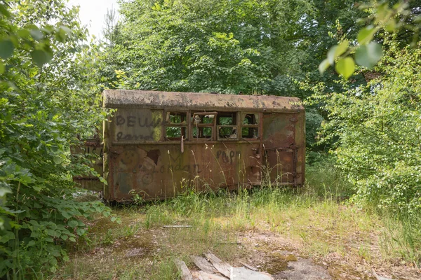 Contenedor viejo oxidado en un bosque — Foto de Stock