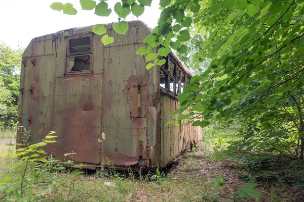 Contenedor viejo oxidado en un bosque — Foto de Stock