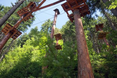 Macera Bahçesi ağaçlar