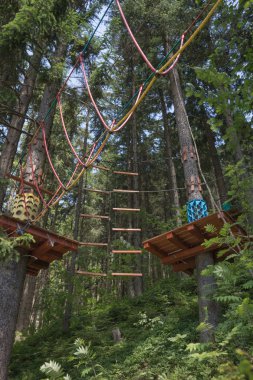 Macera Bahçesi ağaçlar