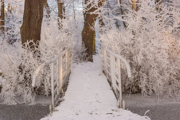 Kleine Brücke über den Bach — Stockfoto