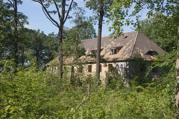 Покинута будівля, руїни в лісі — стокове фото