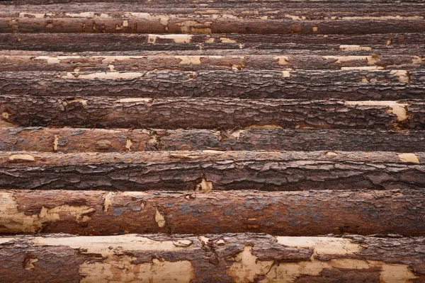 木木材作为背景 — 图库照片