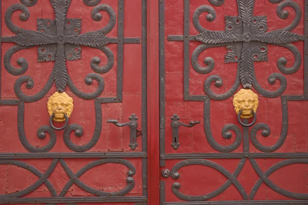 Dekoracyjny Żelazo zawias na Stare drzwi — Zdjęcie stockowe