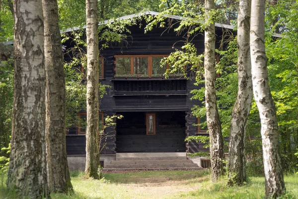 Vieille maison en bois dans la forêt — Photo