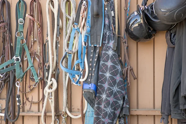 Details of diversity used horse reins — Stock Photo, Image