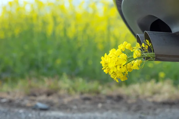 Вихлопна труба автомобіля, з жовтим зґвалтуванням — стокове фото