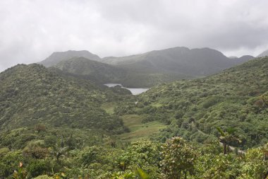 Yağmur ormanı ve Dağları Karayip Adası