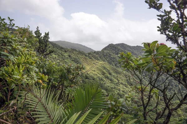 Foresta pluviale e montagne sull'isola caraibica — Foto Stock