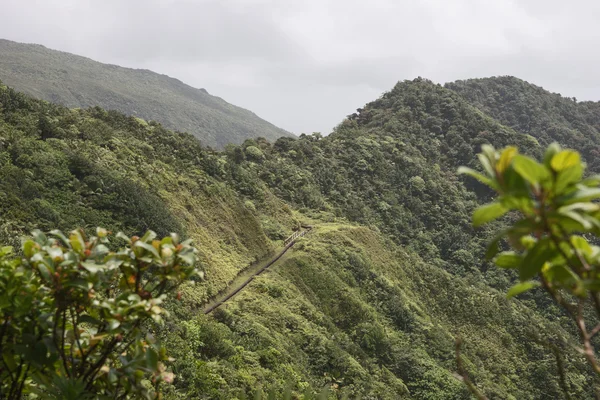 Forêt pluviale et montagnes sur l'île des Caraïbes — Photo