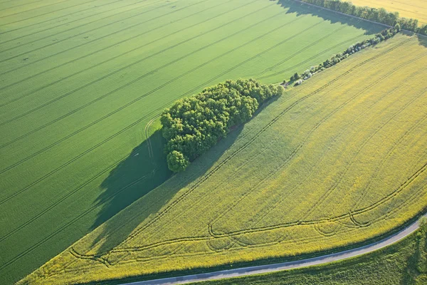 Luftaufnahme von Feldern, Deutschland — Stockfoto