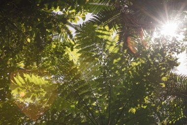 aracılığıyla günlük güneşlik bırakır