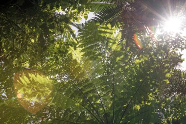 aracılığıyla günlük güneşlik bırakır