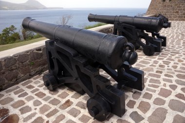 Fort Shirley, savunma sistemi olarak kullanılan eski savaş topu