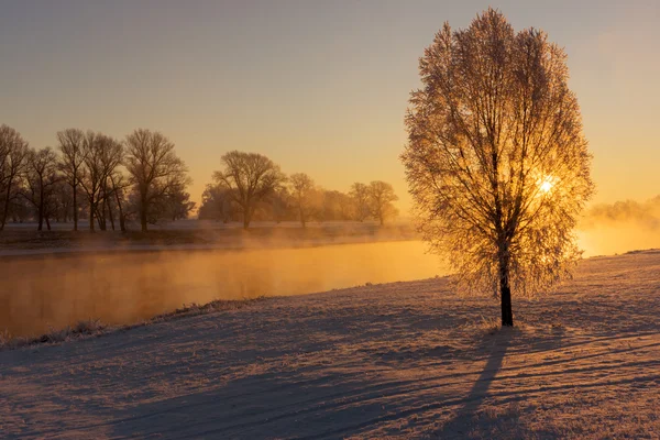 Fog at the Elbe river near Torgau during a winter sunrise — Stock Photo, Image