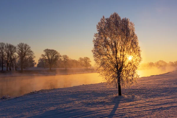 Туман в річки Ельба поблизу Torgau під час зимових sunrise — стокове фото