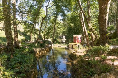 Antik ördek ev park Pena Sarayı nda
