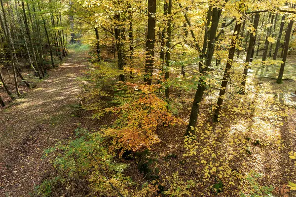 Paisagem Outono Colorido Árvores Outono Parque — Fotografia de Stock