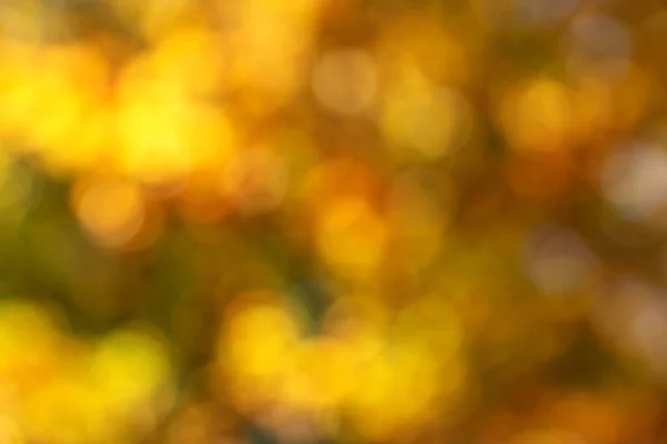 Schöner Hintergrund Des Verschwommenen Herbstes Abstrakter Bokeh Hintergrund — Stockfoto