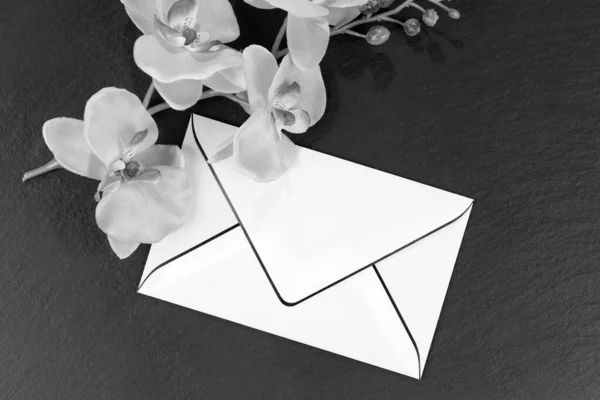 Prázdná Smuteční Karta Orchidejemi Jako Dekorace Černé Bílé — Stock fotografie