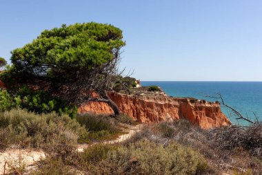 Algarve, Praia da Falesia 'daki kayalıkların üzerinde. Portekiz. Avrupa