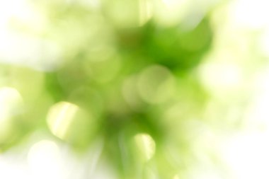 Bulanık yeşil arka plan, bokeh etkisi. İlkbahar