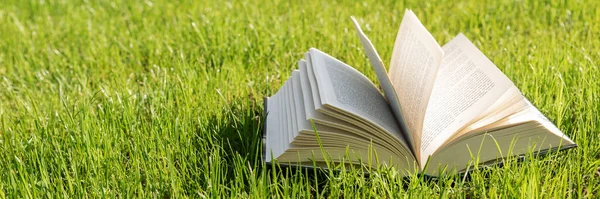 Open Boek Ligt Een Grasveld Tuin Vakantie Ontspanning Tuin Tijdens — Stockfoto