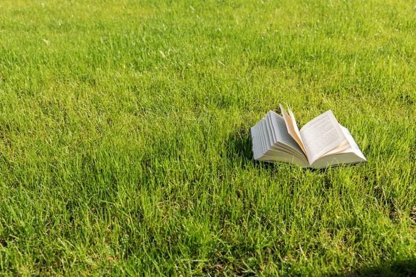 オープンブックは庭の芝生の上にあります コロナウイルスのパンデミックの間の庭での休日とリラクゼーション — ストック写真