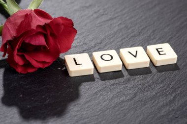 Aşk sözcüğü ve siyah bir arka planda kırmızı bir gül