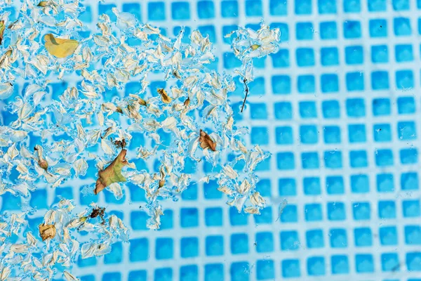 Textura Del Agua Piscina Con Muchas Flores Robinia Fondo Verano —  Fotos de Stock