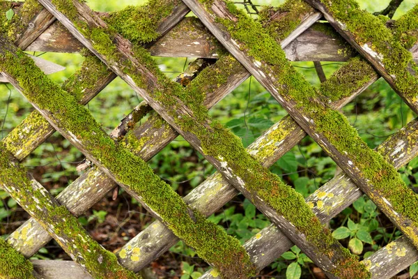 Trädgårdsstaket Trä Täckt Med Mossa — Stockfoto