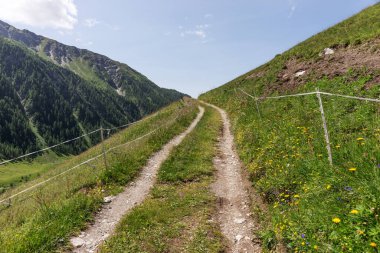 Alp Dağları 'nın küçük dağ yolu ve Alp Dağları' ndaki yürüyüş yolu