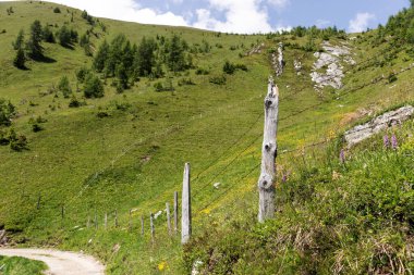 Alplerde çit var. Kırsal hayvan çiftliği