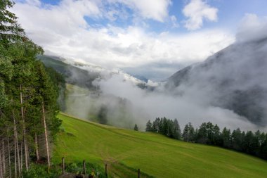 Alplerdeki vadiden sis yükseliyor. Avusturya