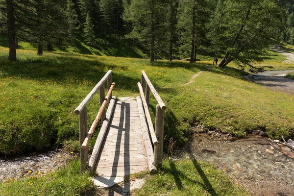 アルプスの木製の小さな橋 山の風景 — ストック写真